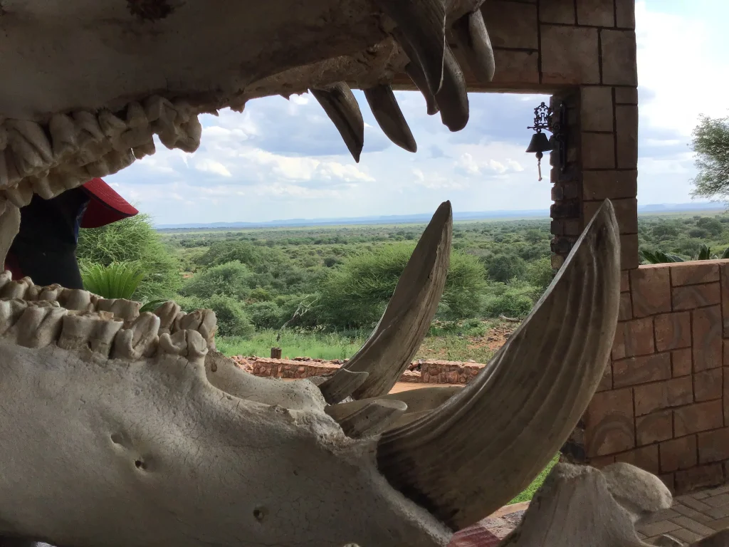 Gaspare Spanio Safaris hunting lodge — Limpopo bushveld South Africa