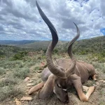 Kudu