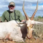 White Blesbuck