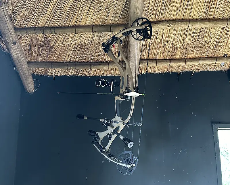 bow hunt