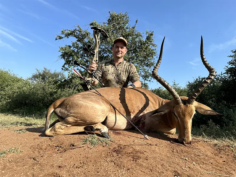 bow hunting africa impala